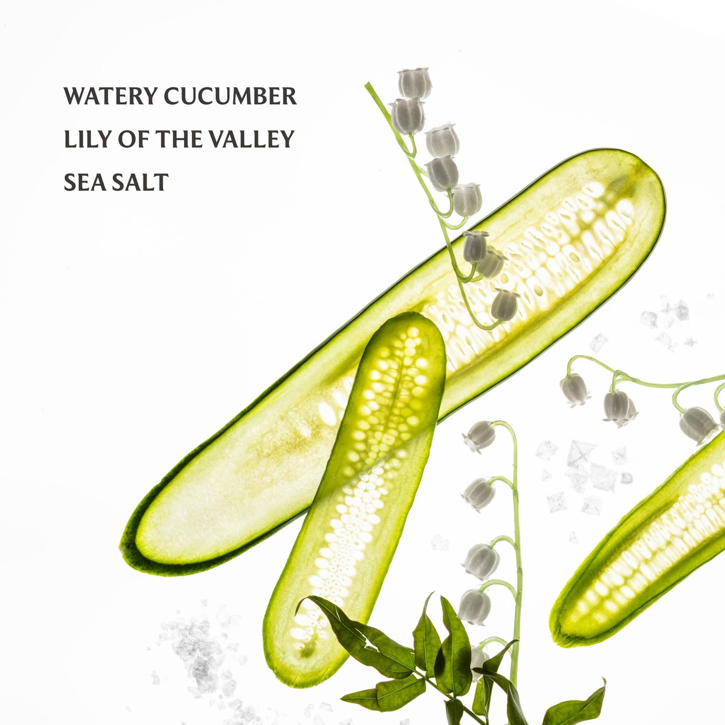 Touchland: Lily Of The Valley Gentle Mist Ultra-Soothing Hand Sanitizer