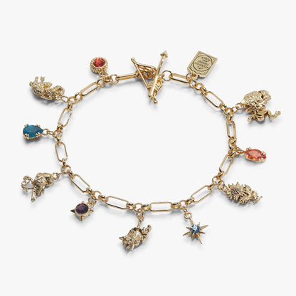 A Court of Thorns and Roses Book Covers Charm Toggle Bracelet: Gold