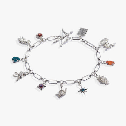 A Court of Thorns and Roses Book Covers Charm Toggle Bracelet: Gold
