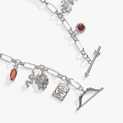 A Court of Thorns and Roses Book Covers Charm Toggle Bracelet: Silver