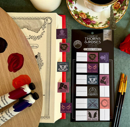 A Court of Thorns and Roses Book Annotation Flags