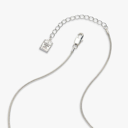 A Court of Thorns and Roses Velaris Heart Locket Necklace: Silver