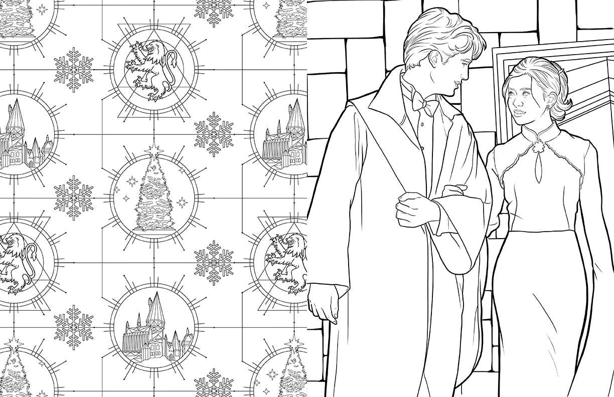 Harry Potter: Ravenclaw House Pride: The Official Coloring Book