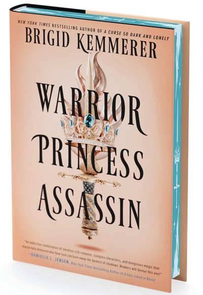 Princess Warrior Assassin by Brigid Kemmerer