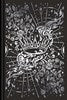 Nightbane by Alex Aster (Collector's Edition)