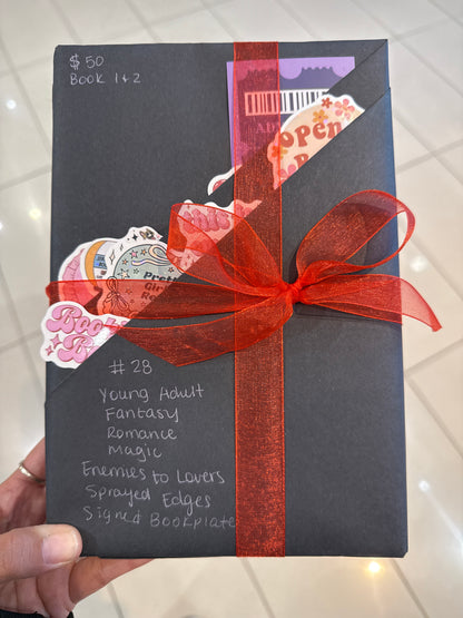 Blind Date With A Book (#1-100)