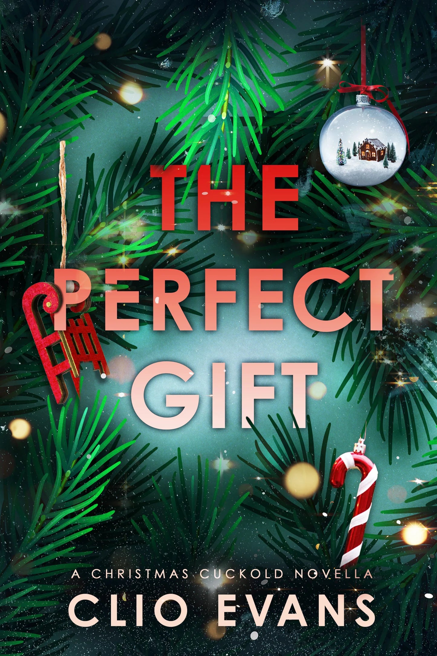 (PREORDER) The Perfect Gift by Clio Evans (Signed)