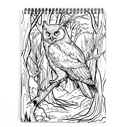 Waiting for the Night Coloring Book