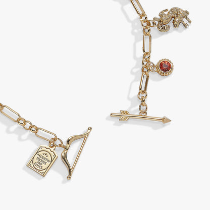 A Court of Thorns and Roses Book Covers Charm Toggle Bracelet: Silver
