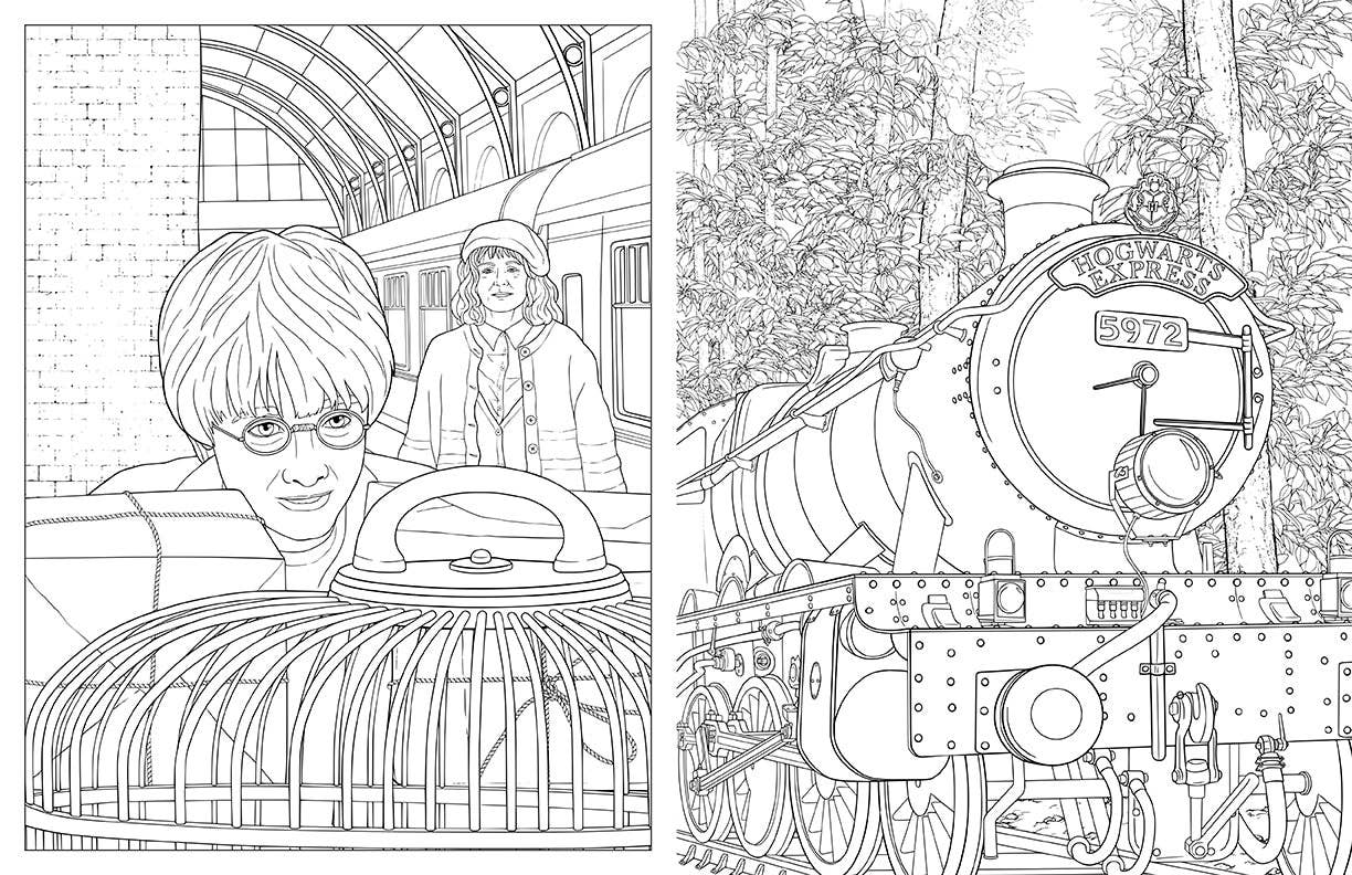 Harry Potter: Travels Through the Wizarding World Coloring Book