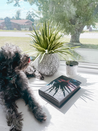 Nona the Ninth by Tamsyn Muir (Deluxe Edition)